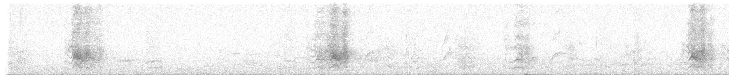 Apostlebird - ML646927925