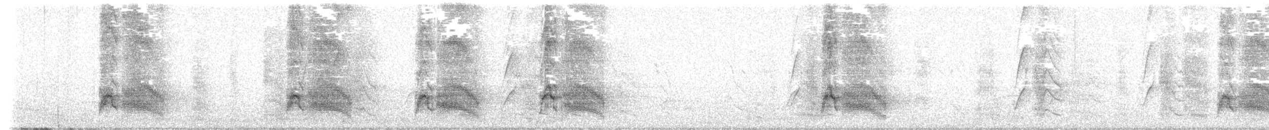 Apostlebird - ML646927929