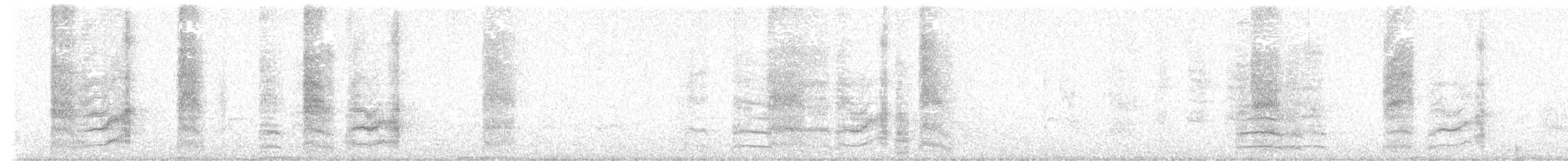 Apostlebird - ML646927930