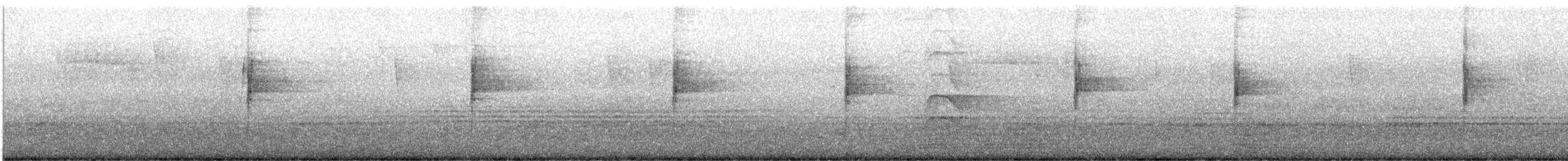 Northern Waterthrush - ML646928049