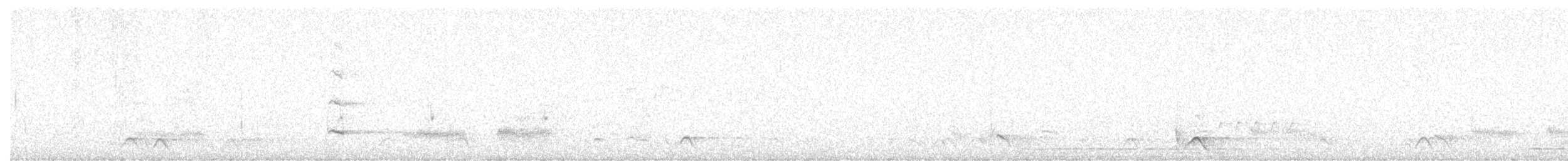 Little Friarbird - ML646928191