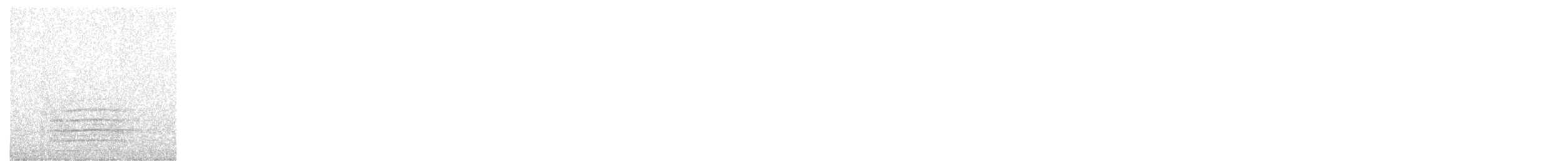 Red-tailed Black-Cockatoo - ML646928228