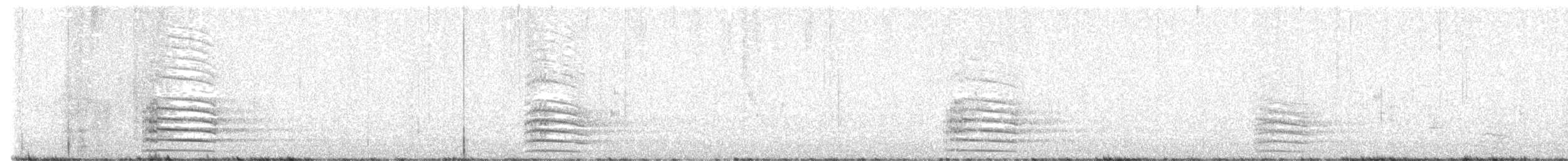 Red-tailed Black-Cockatoo - ML646928229