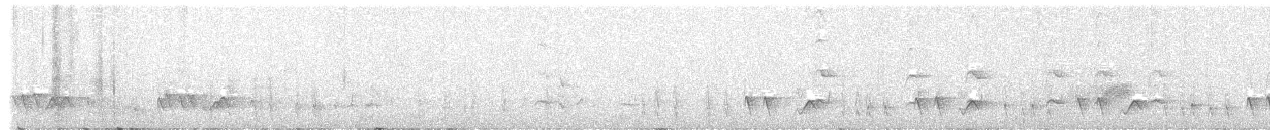 White-gaped Honeyeater - ML646928446