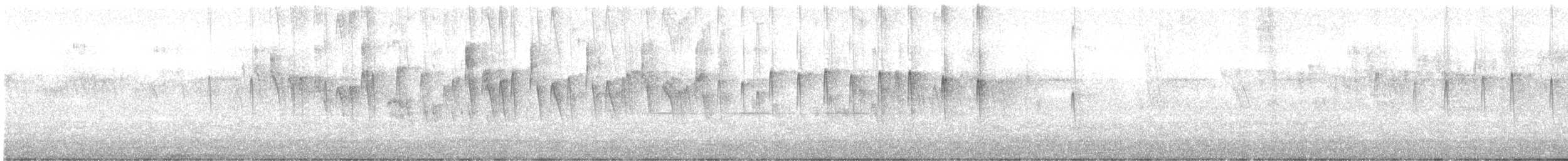 Sicksegler - ML646928656