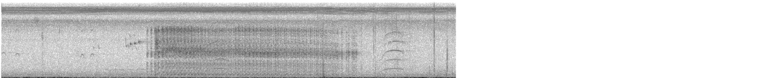 pygmédykker - ML646928667