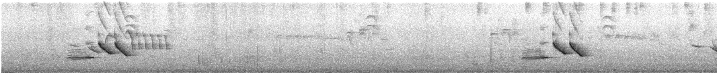 sørgefrøeter - ML646928670