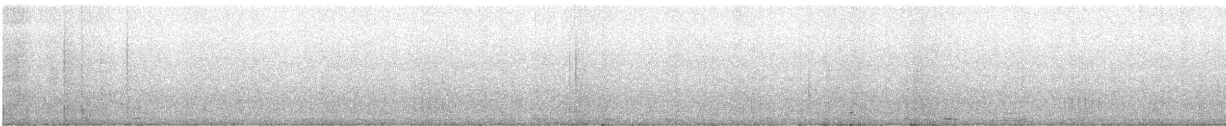 Tucán Piquinegro - ML646928860