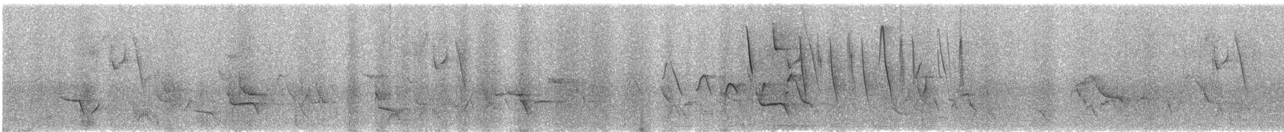 Кустарниковый трупиал - ML646928958