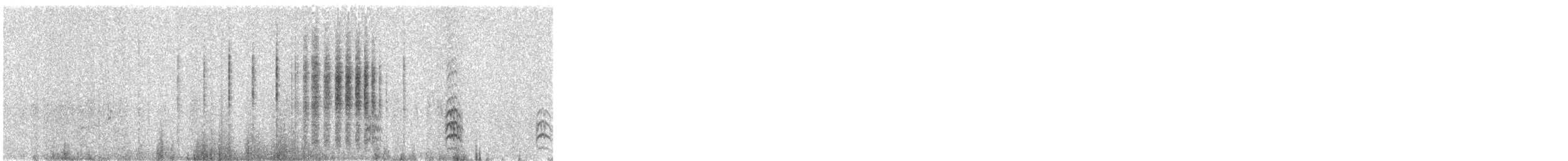 Junquero troglodyte - ML646929320