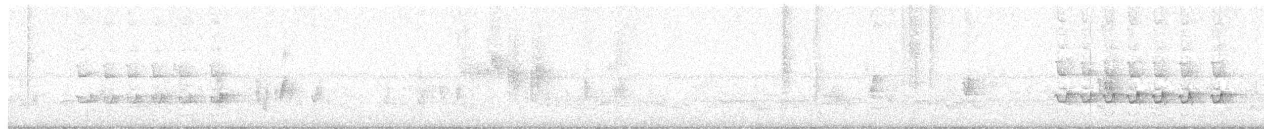 Usignolo del Giappone - ML646930000