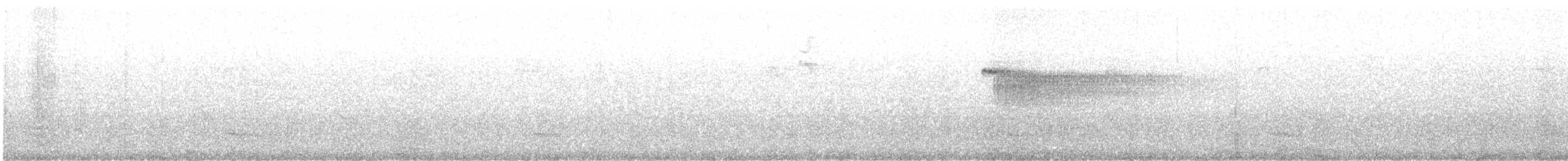 Белобокий цветокол - ML646930104