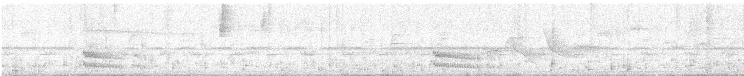 Collared Trogon - ML646930186