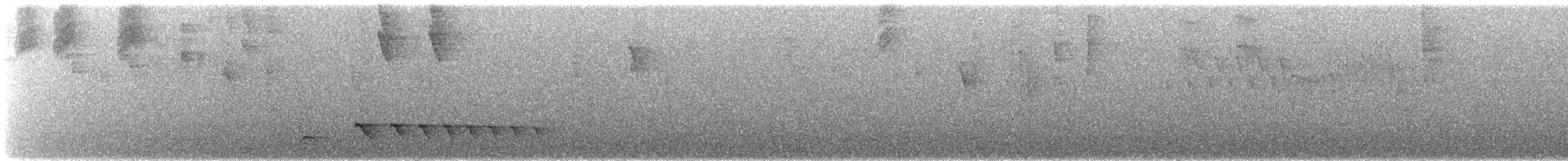 Blackish Antbird - ML646930206