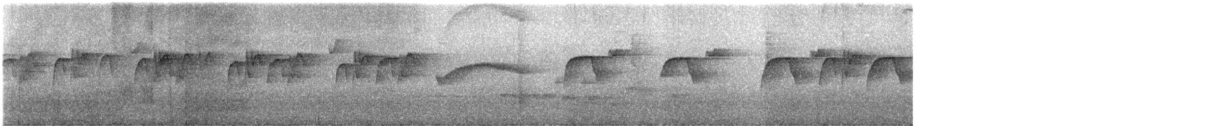 Chestnut-bellied Chat-Tyrant - ML646930232