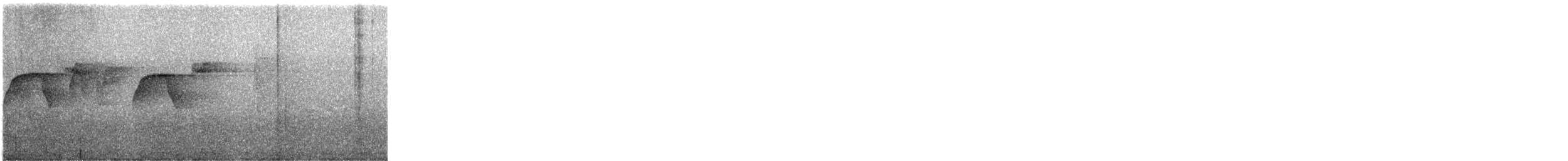 Chestnut-bellied Chat-Tyrant - ML646930233