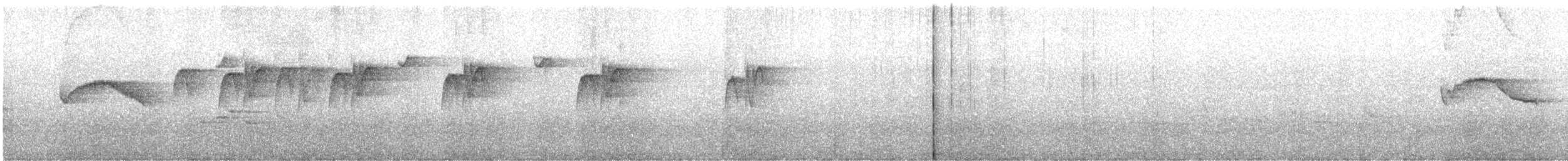 Chestnut-bellied Chat-Tyrant - ML646930234