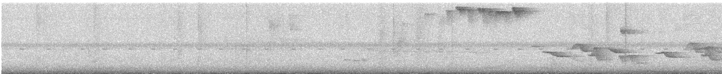 Fleckenbrust-Zaunkönig - ML646930611