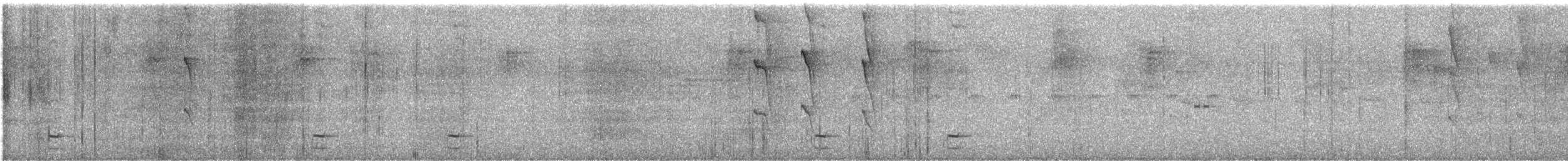 Сероспинный бекард - ML646930726