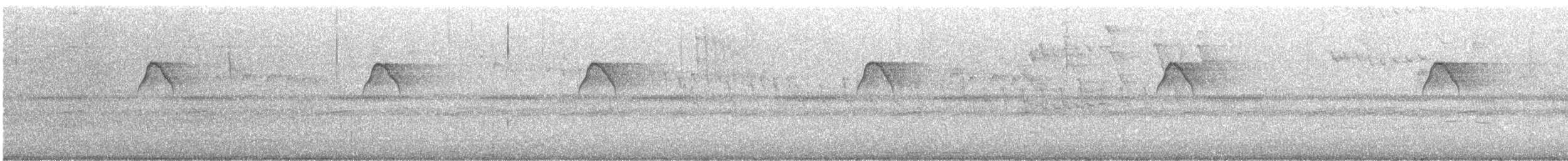 White-fronted Tyrannulet - ML646930808