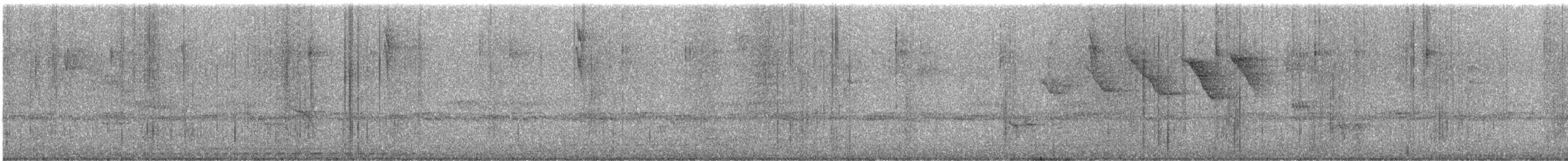 Чешуйчатая питтовая муравьеловка - ML646930826