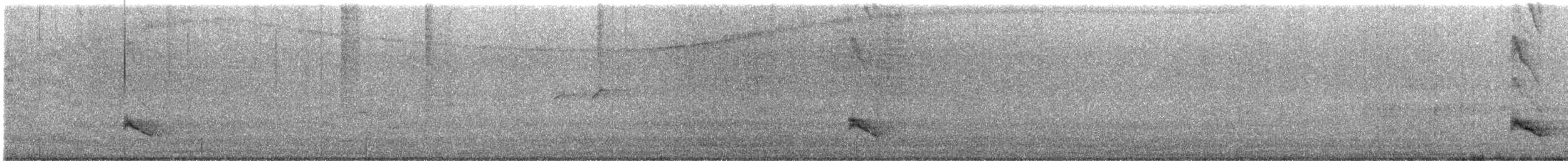 Тропический пересмешник - ML646930948