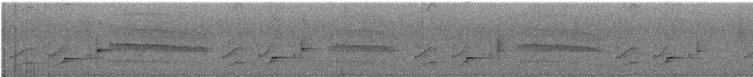 Серогрудый тенелюб - ML646931118