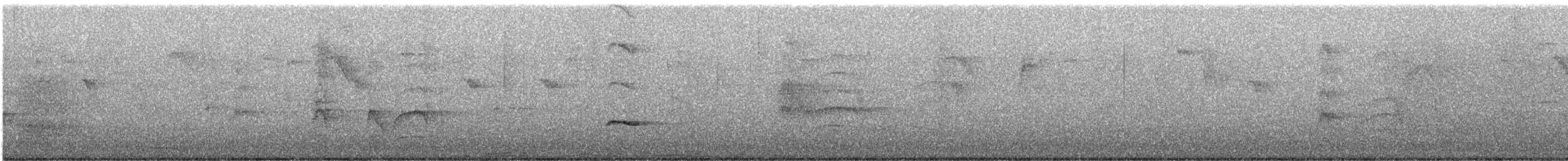 Иволговый трупиал - ML646931249