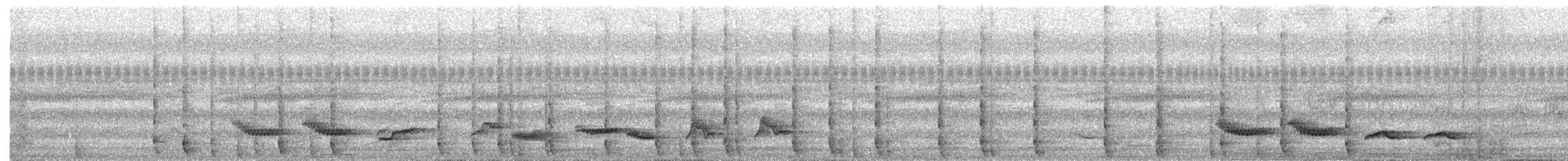 サメイロツグミ - ML646931657