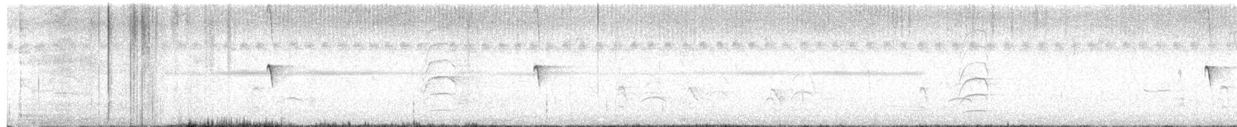 Феб чорний - ML646931857