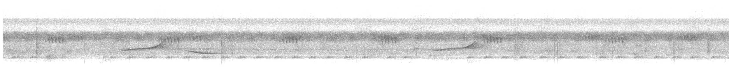 White-breasted Nigrita - ML646933424