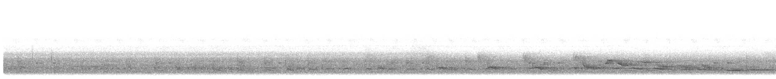 Green-tailed Bristlebill - ML646933472