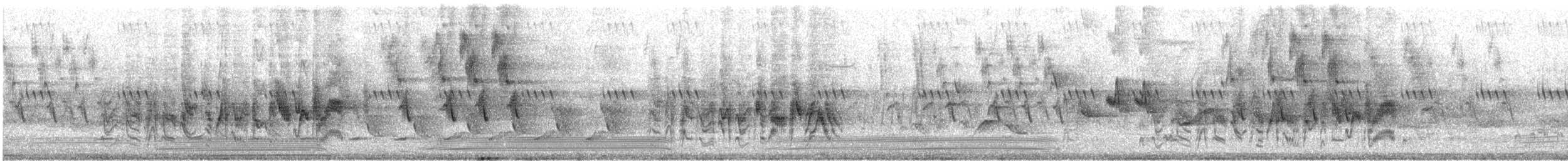 Bell's Vireo - ML646934012