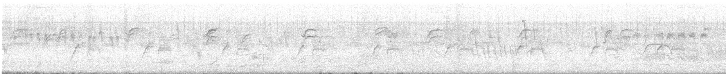 ムナジロオナガカマドドリ - ML646934119