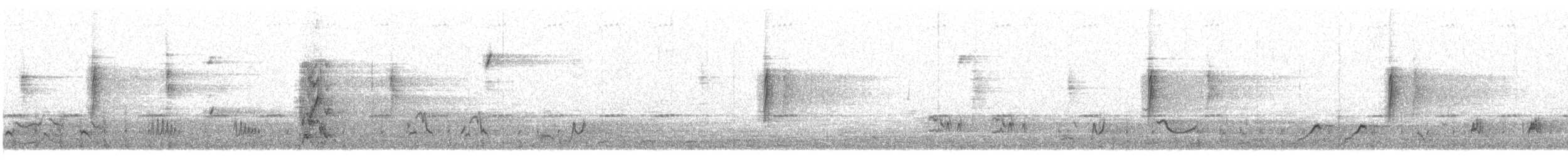 Woodhouse's Scrub-Jay - ML646934373