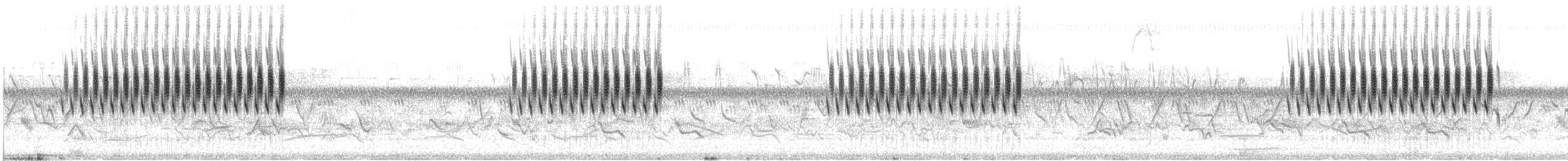 Chipping Sparrow - ML646934376