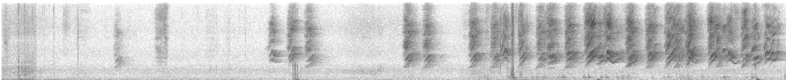 Mexican Jay (Arizona) - ML646934594