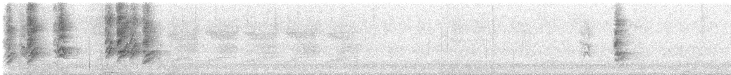 Mexican Jay (Arizona) - ML646934596