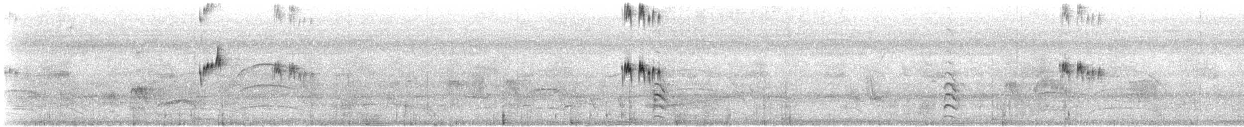 Tropical Kingbird - ML646934645