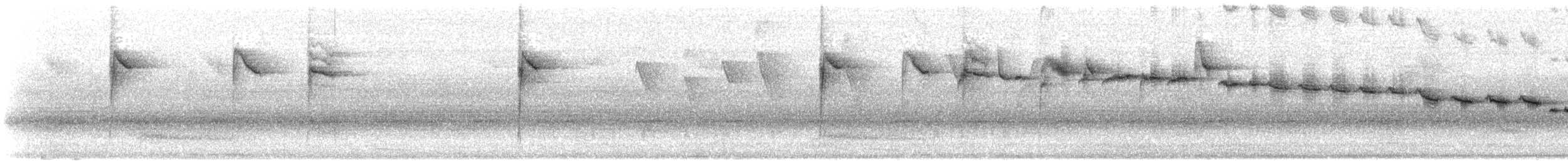 Reinita Silbona - ML646934677