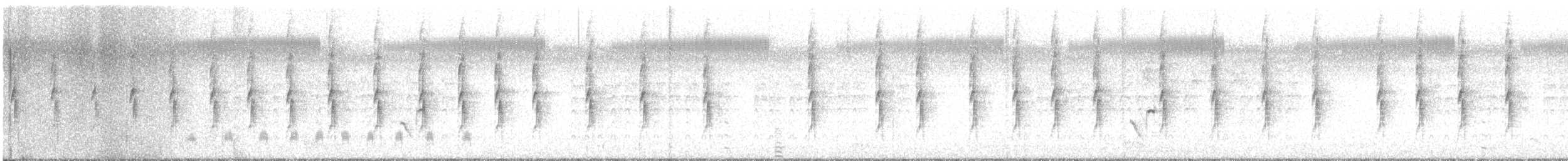 langstjertskredderfugl - ML646934691