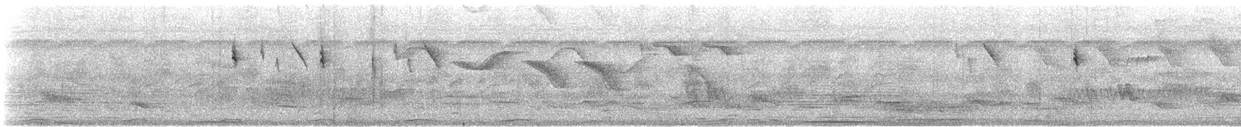 Conirrostro Culirrufo - ML646934697