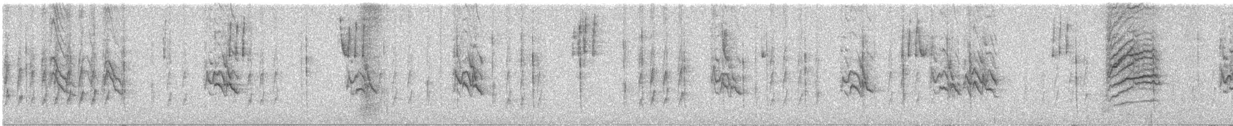 Pine Siskin - ML646934750
