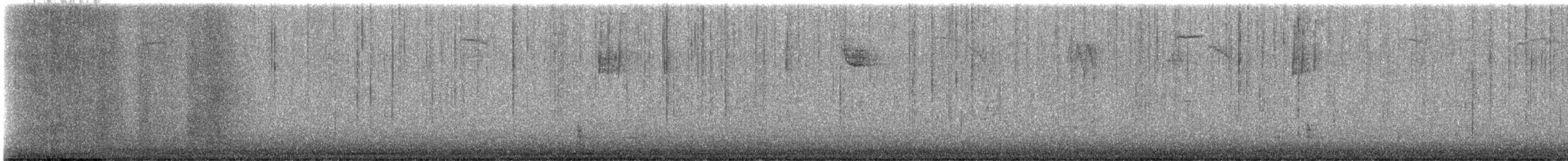 Hermit Thrush - ML646934924