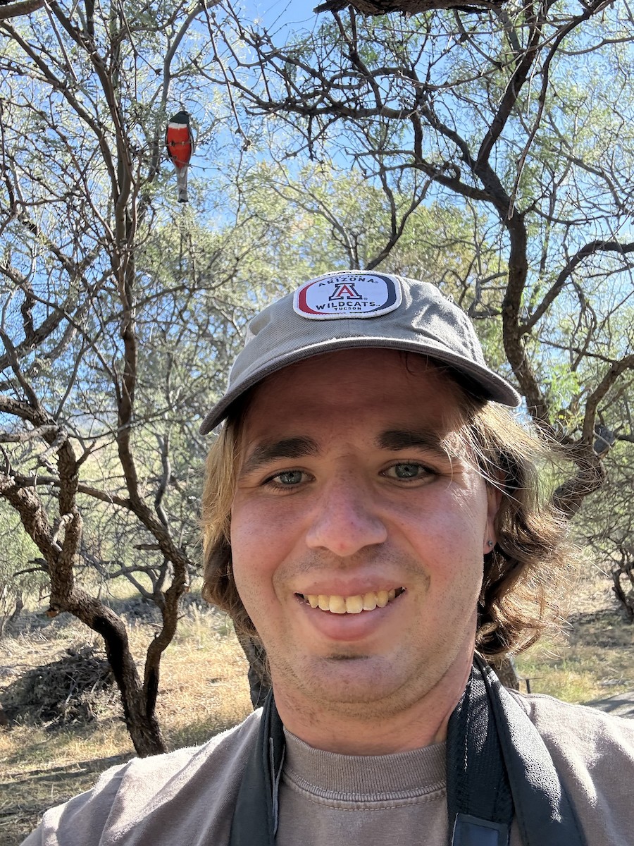 Coppery-tailed Trogon - ML646935398