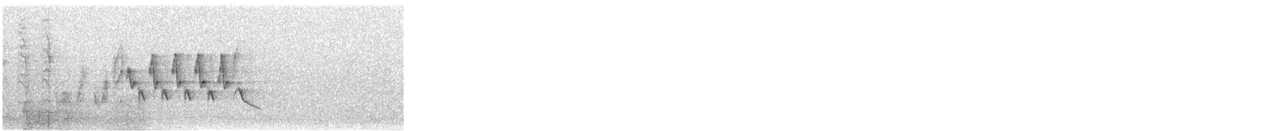 Southern House Wren - ML646935739