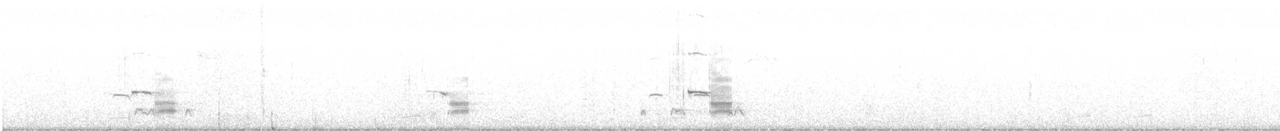 Gadwall - ML646936241