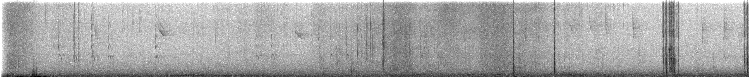 střízlík kanadský - ML646936468