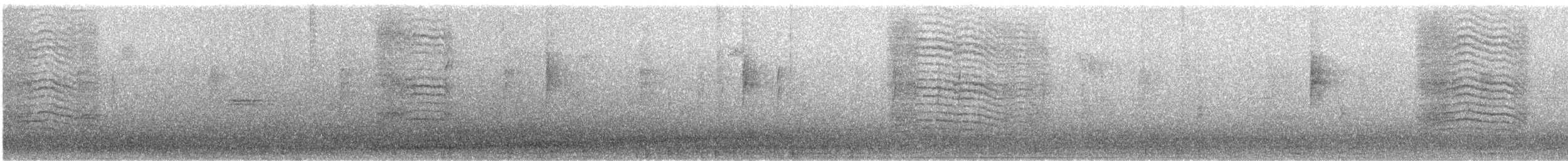 ימימן אמריקני - ML646937322