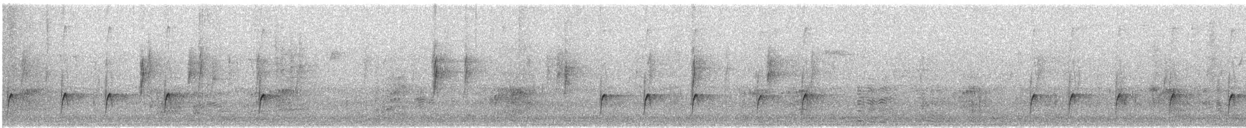 Greater Pewee - ML646937405